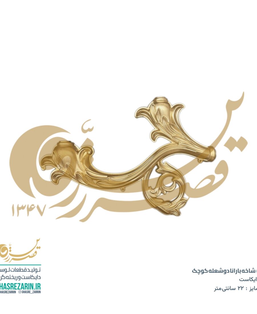 شاخه بارانا کوچک