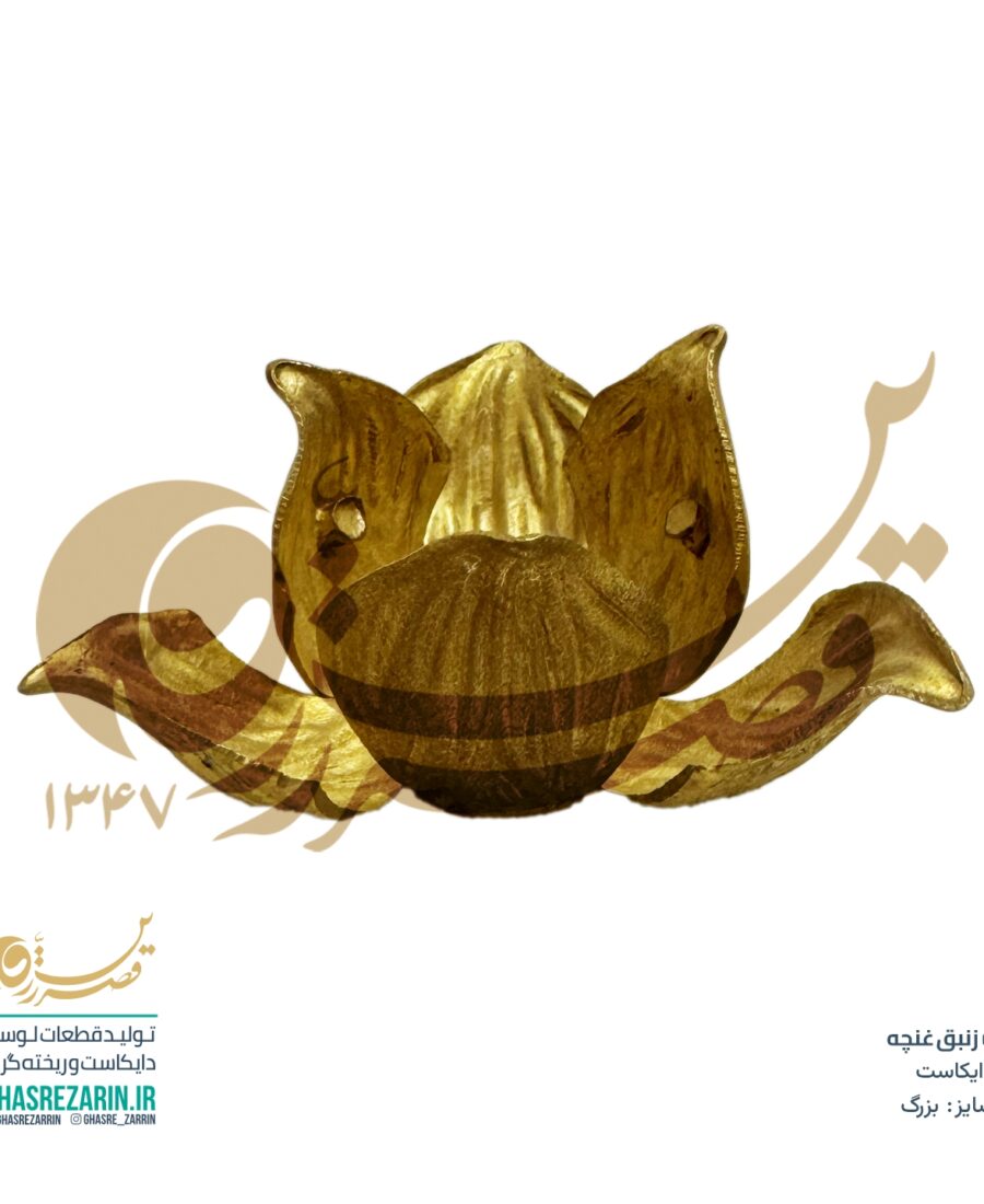 زنبق غنچه بزرگ